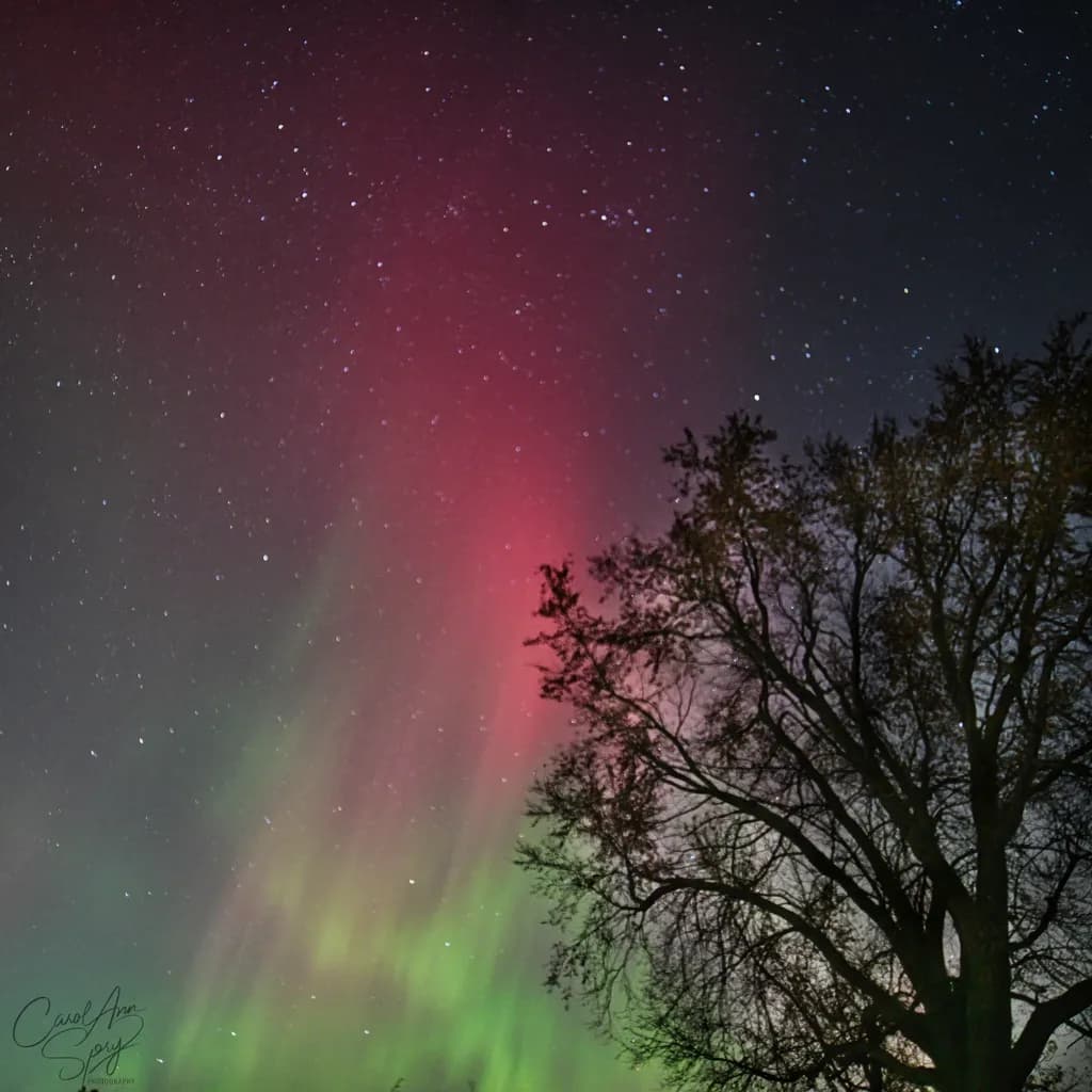 Aurora Dance