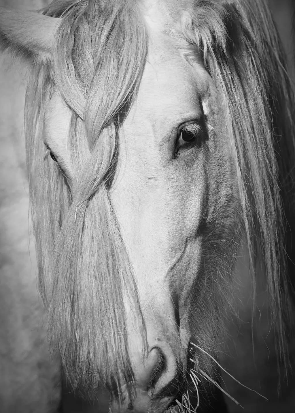 Braided Elegance