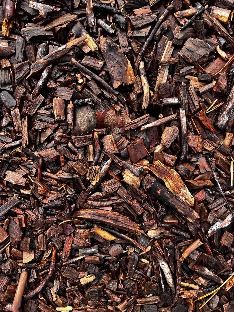 Organic Harmony: A Textural Exploration of Mulch and Wood Elements in Nature