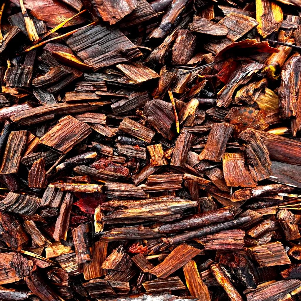 Whispers of the Forest: A Textural Journey Through Nature's Wood Chips