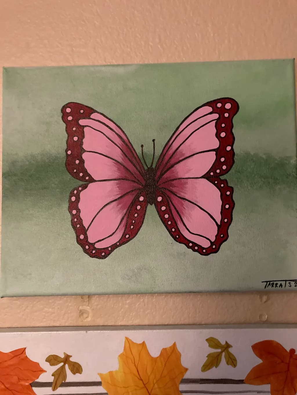 Crimson Edge Butterfly