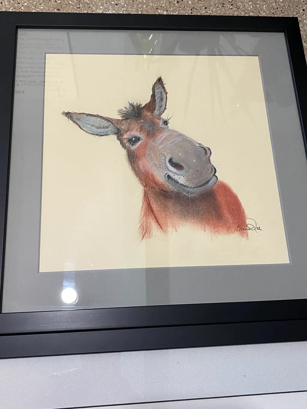 Playful Donkey Portrait