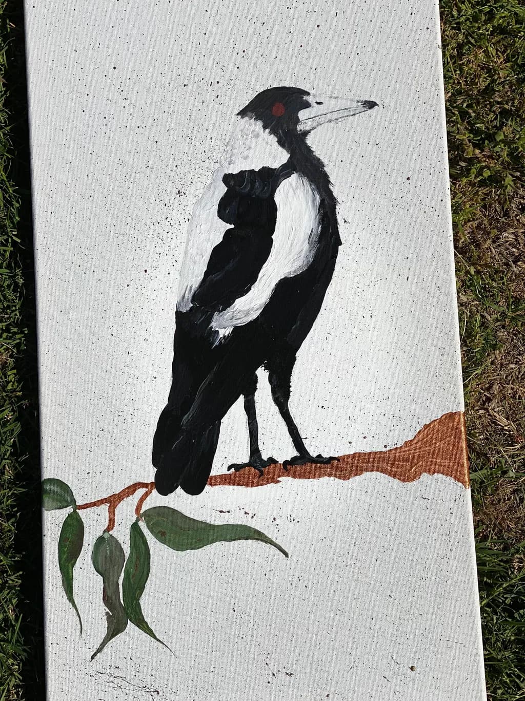 Black and White Bird