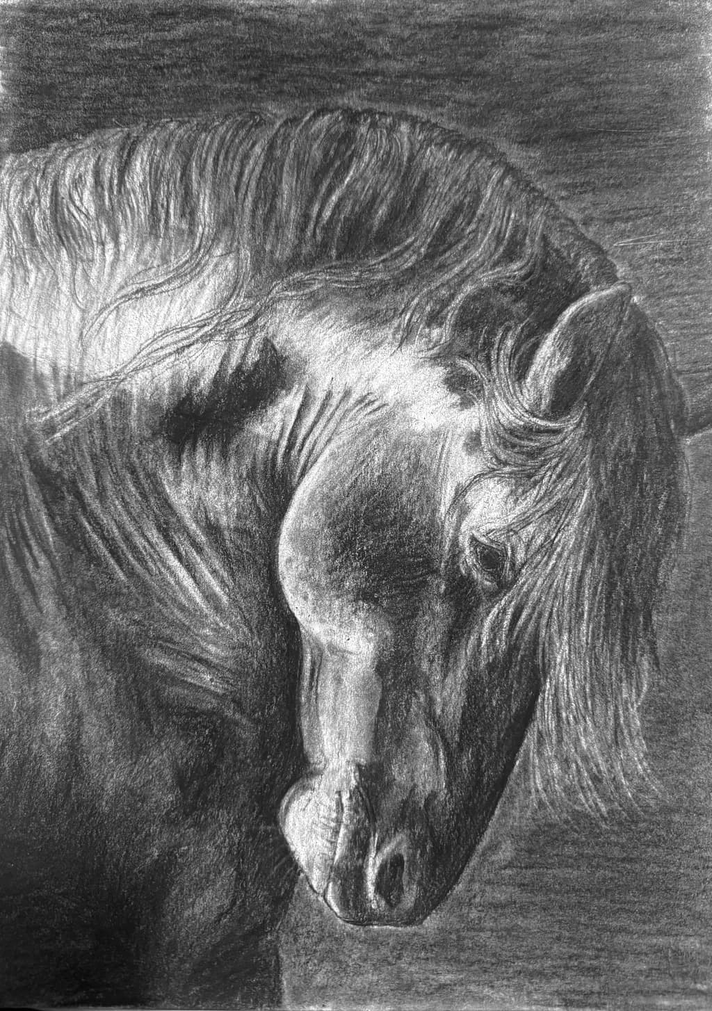Majestic Equine Elegance: A Charcoal Portrait of Strength and Grace