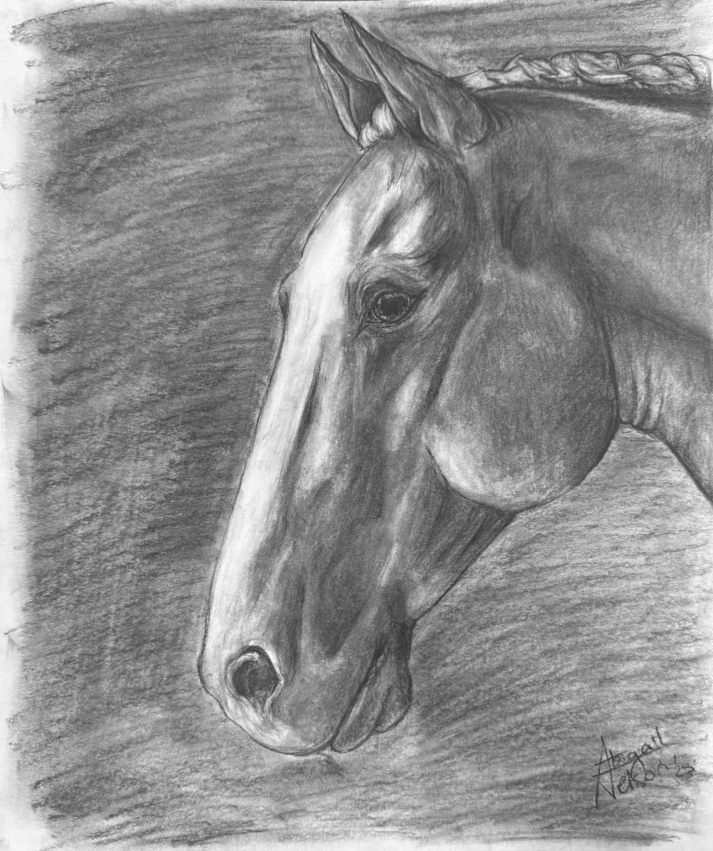 Majestic Equine Elegance: A Charcoal Portrait of Grace and Strength