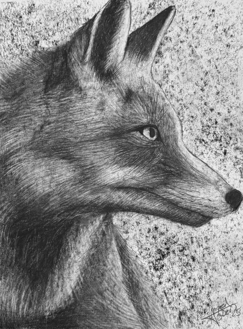 Whispers of the Wild: A Monochrome Wolf Portrait in Realistic Sketch Art