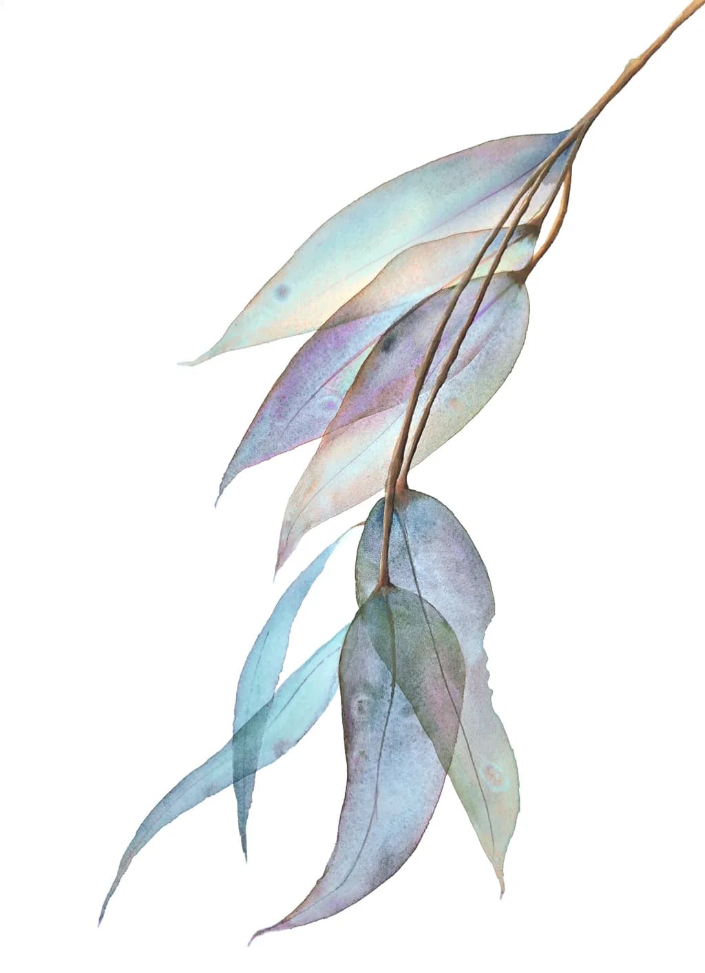 Quiet Leaves