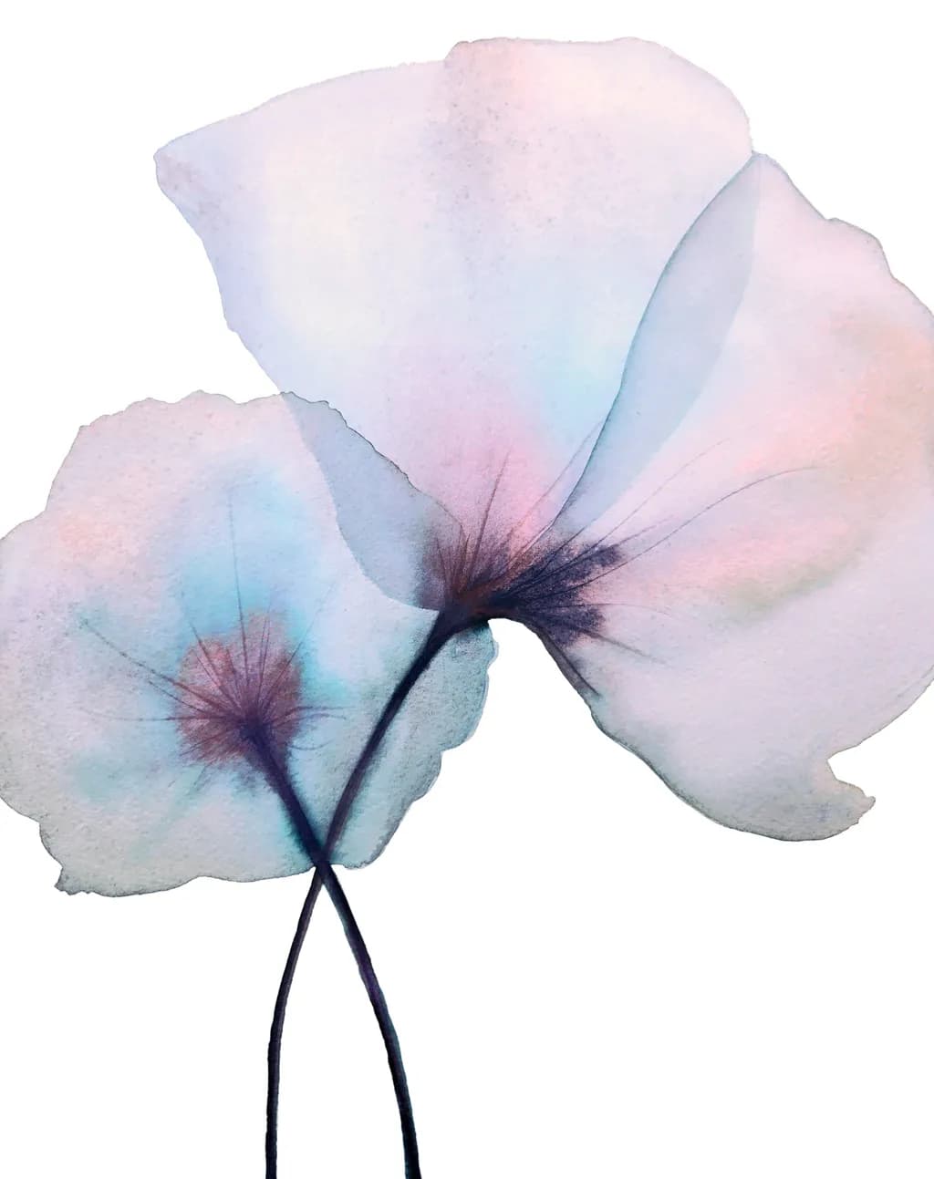 Two Blossoms
