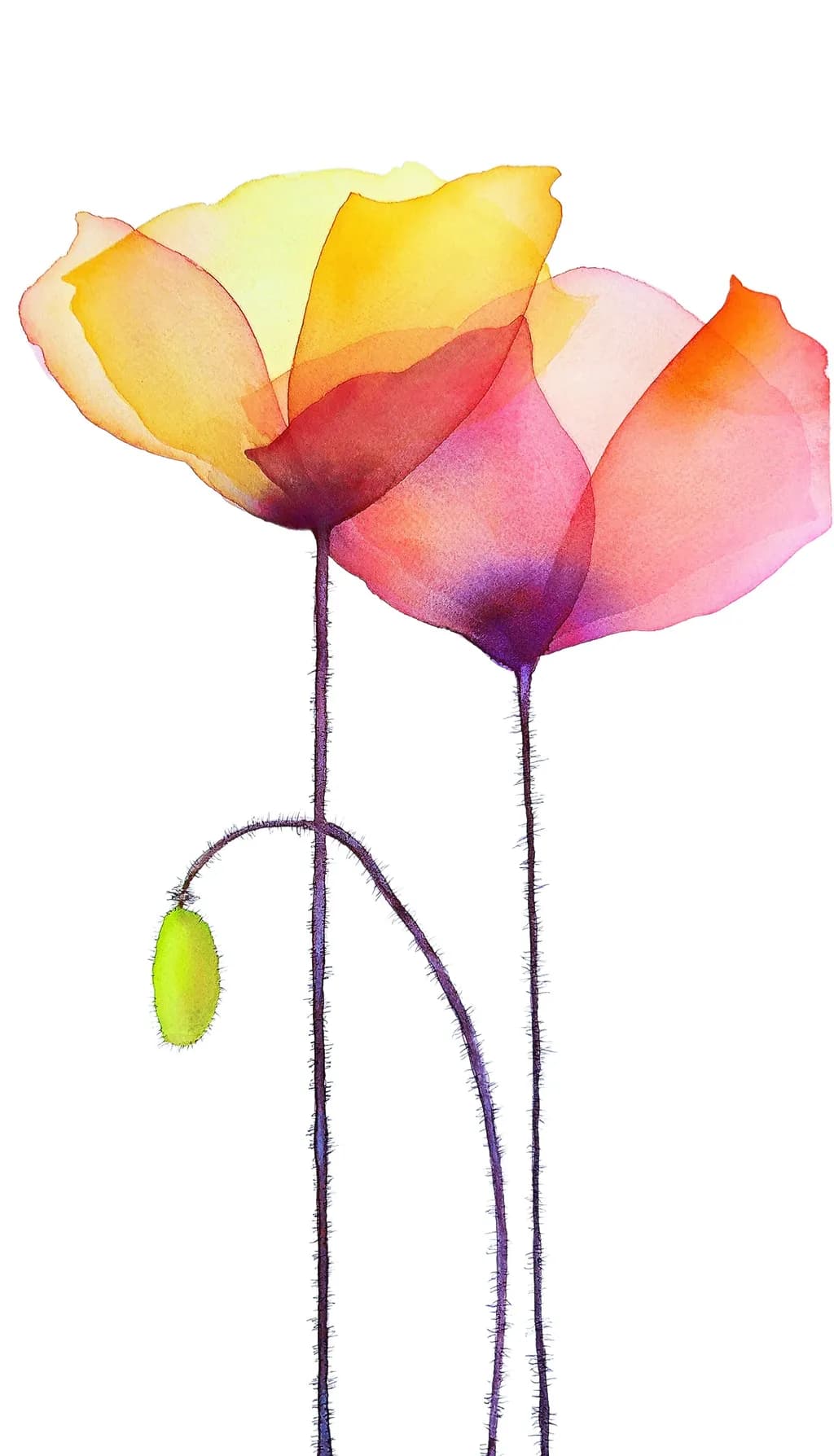 Flower Power