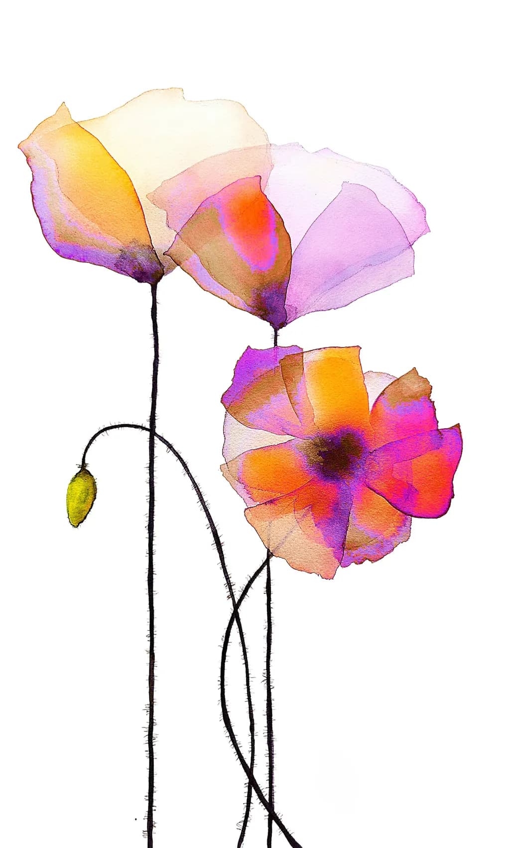 Psychodelic Poppies