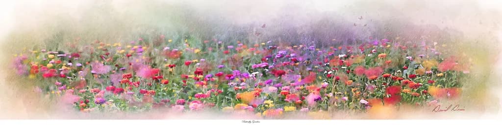 Vibrant Blossoms in a Soft Floral Field: A Colorful Symphony of Nature