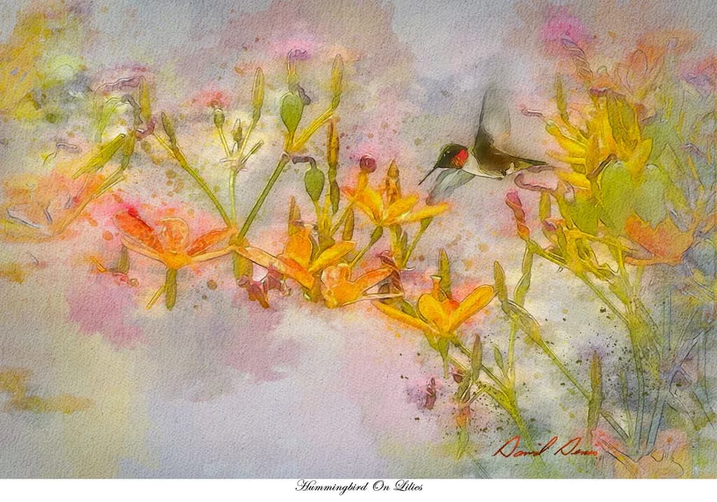 Whispers of Color: A Hummingbird's Dance Among Lilies