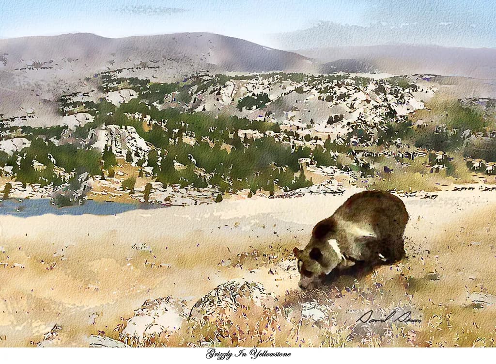 Grizzly Serenity: A Watercolor Journey Through Yellowstone's Wild Beauty