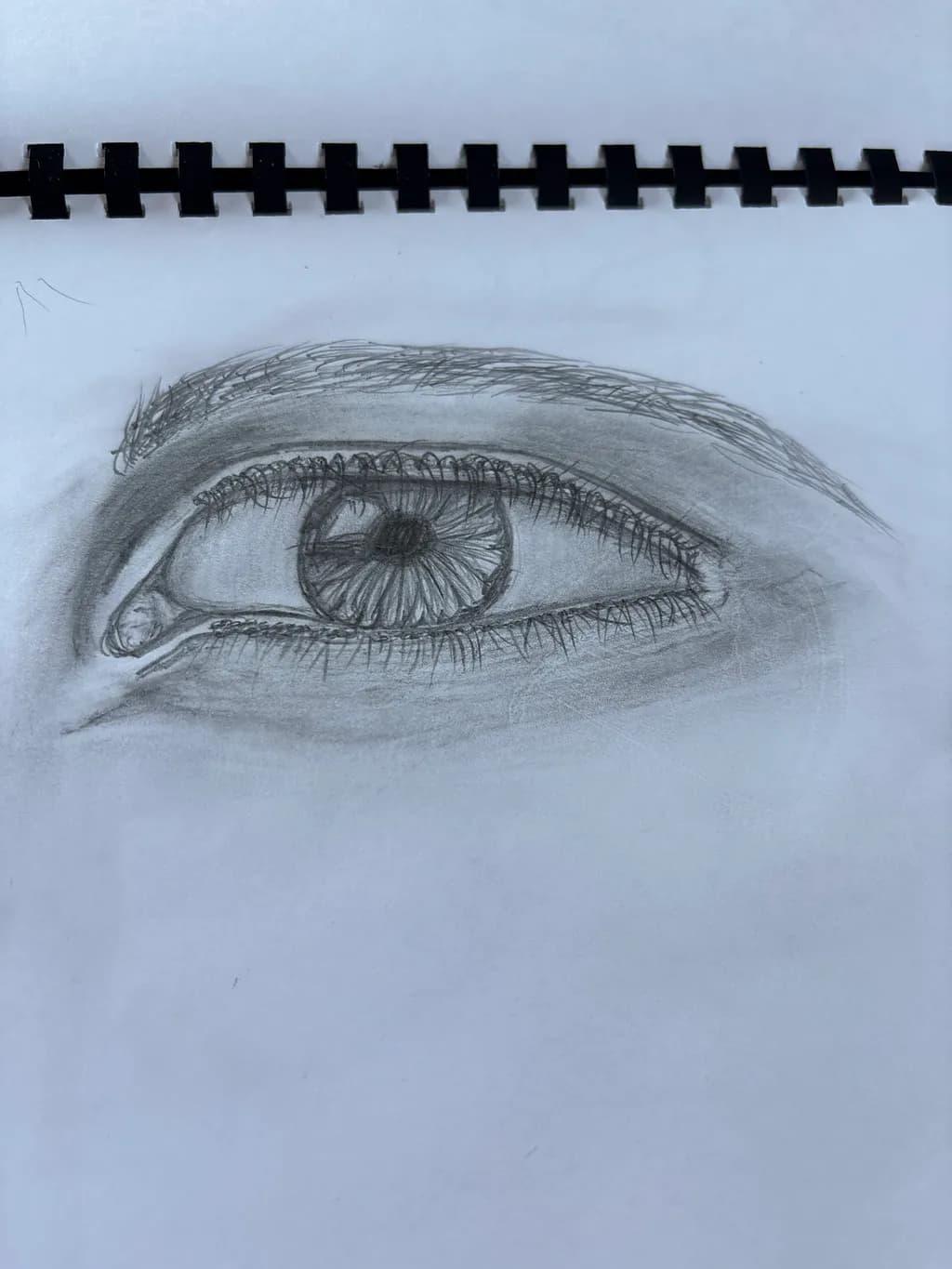 Whispers of Perception: A Detailed Study of the Human Eye in Graphite
