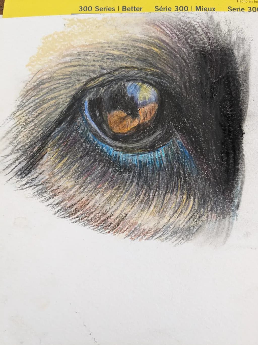Animal Eye Reflection