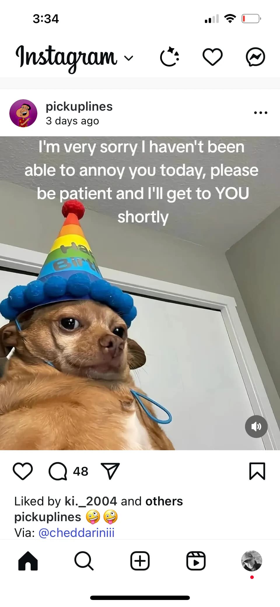 Whimsical Apology: A Playful Pup in Party Hat