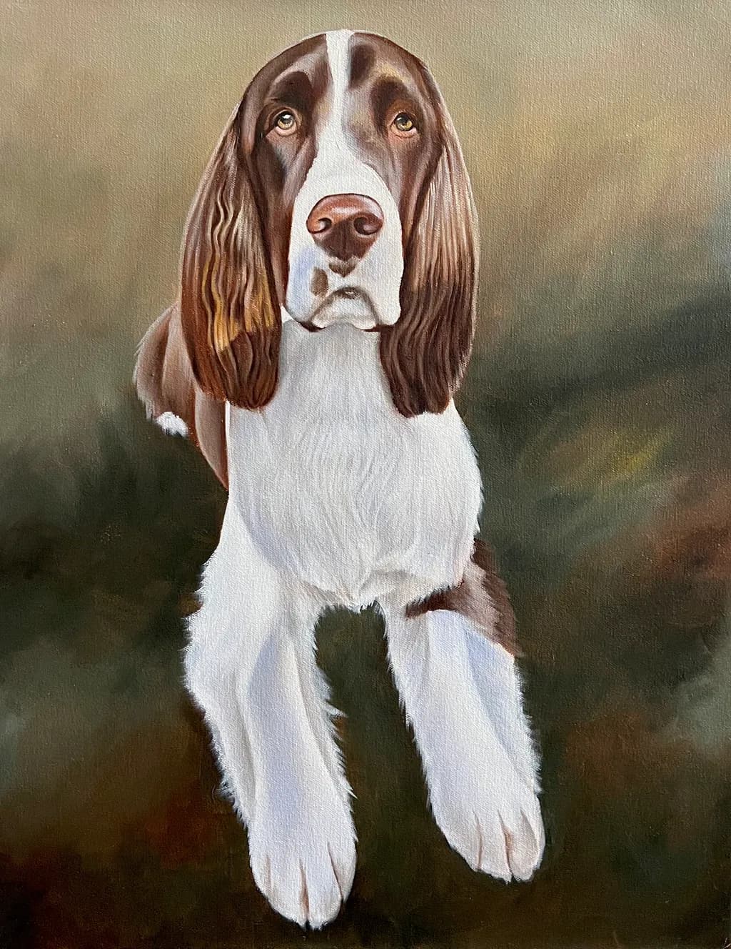 Whimsical Gaze: A Portrait of Graceful Canine Elegance