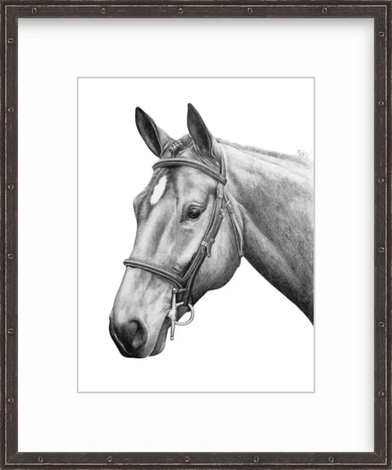 Elegant Equine Portrait: A Realistic Black-and-White Study of a Majestic Horse