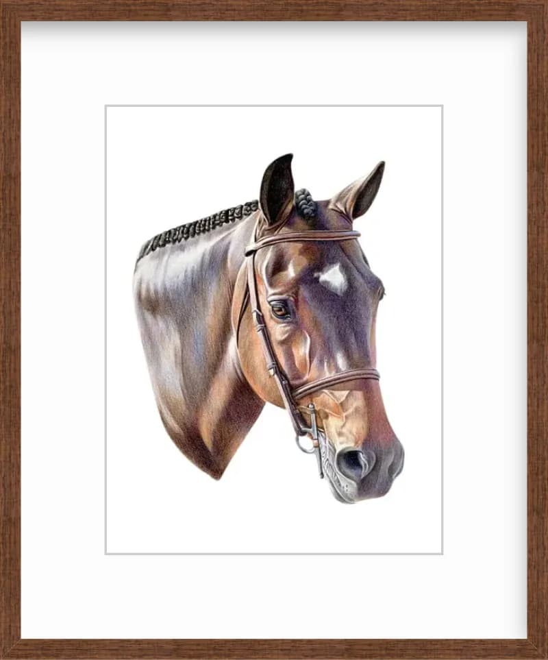 Majestic Equine Portrait: A Realistic Study of Strength and Grace