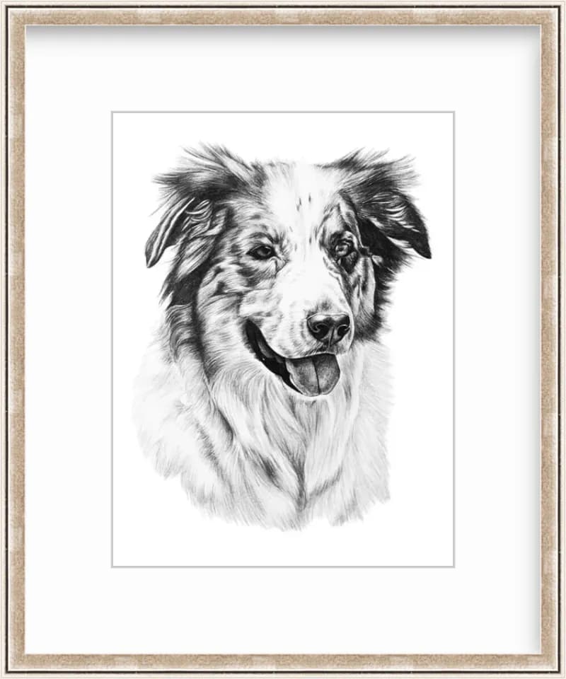 Joyful Canine: A Black-and-White Portrait of a Smiling Dog