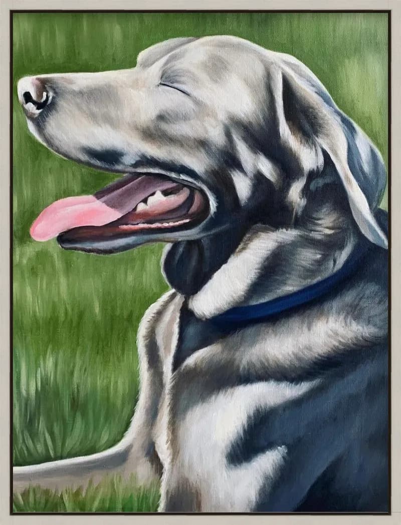 Joyful Canine Serenity: A Radiant Portrait of a Happy Dog in Nature
