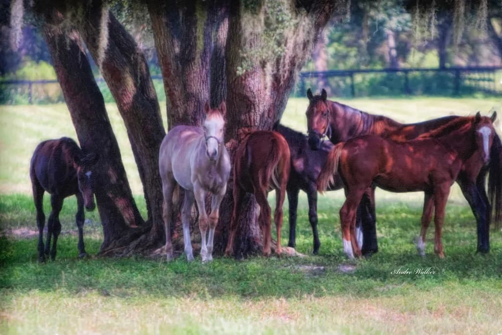 Whispers of the Past: Horses Beneath the Ancient Oak