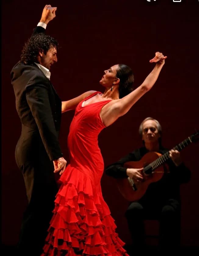 Flamenco Passion: A Dance of Love and Rhythm