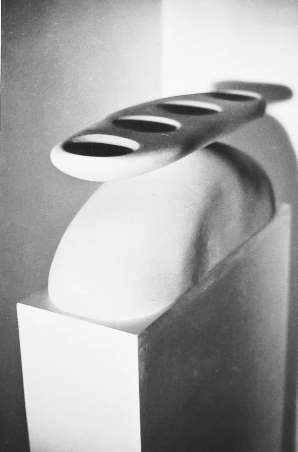 Sculptural Harmony: The Elegance of Form and Shadow in Monochrome Design