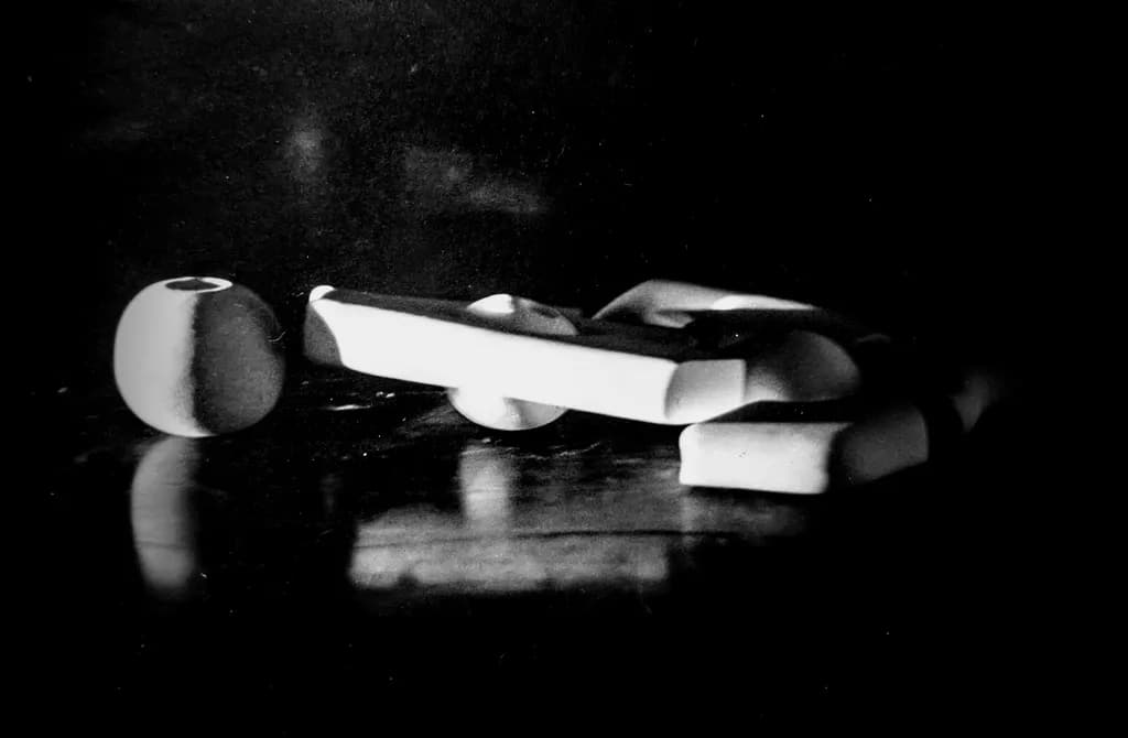 Whispers of Form: A Monochrome Still Life Exploration