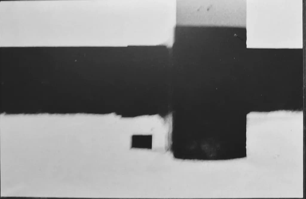 Monochrome Echoes: A Study in Contrast and Form