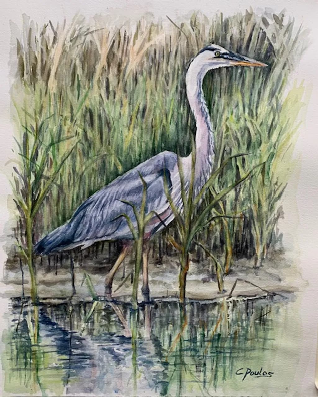 King of the Marsh
