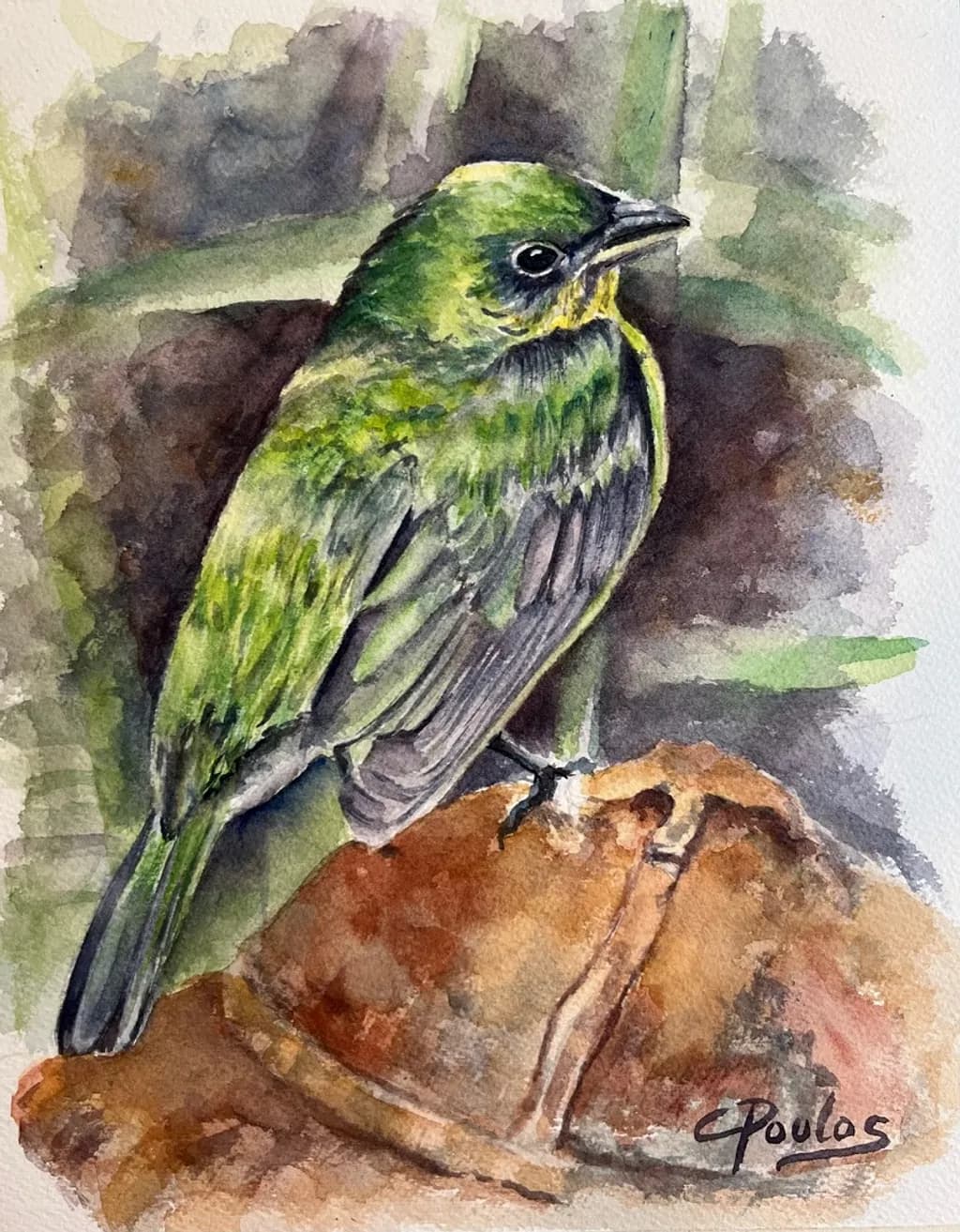 Lady Painted Bunting