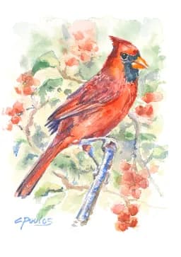 Cardinal Symbol of Hope