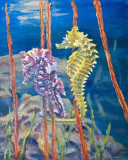 Sea Horse Couple
