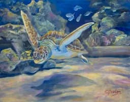Turtle Dive