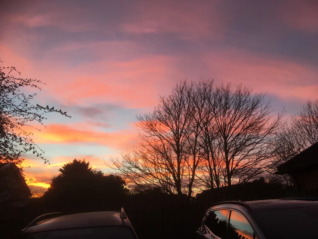 Whispers of Twilight: A Serene Sunset Over Silhouetted Trees and Cars