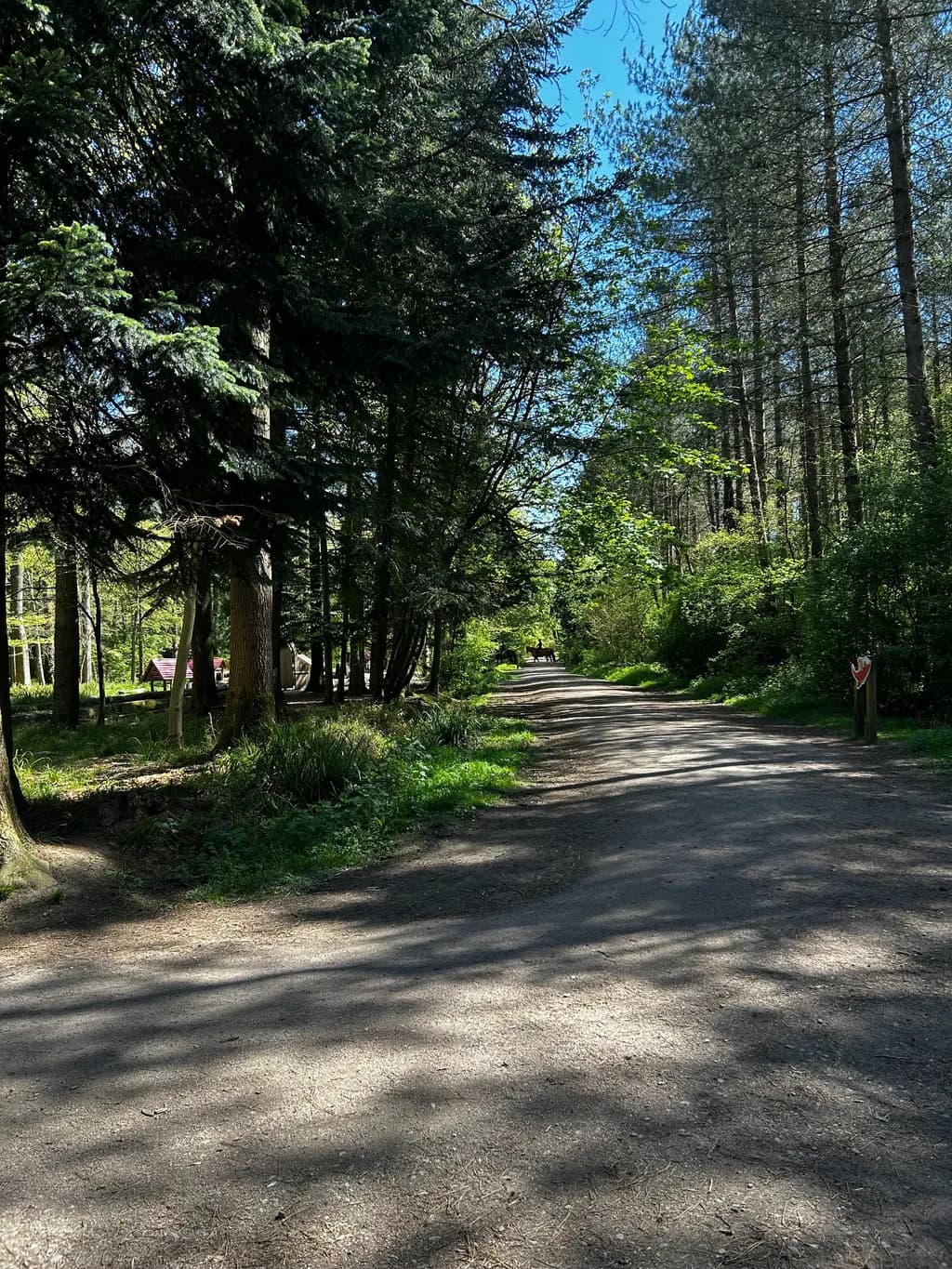 Salcey Forest Pathway