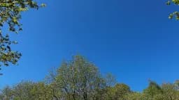 Blue Sky Salcey