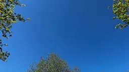 Blue Sky Salcey