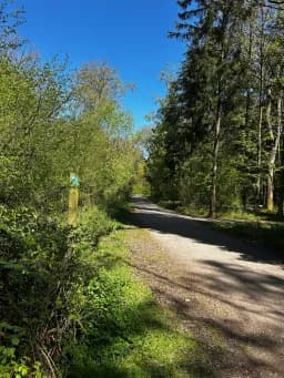 Salcey Forest Pathway