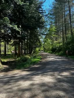 Salcey Forest Pathway