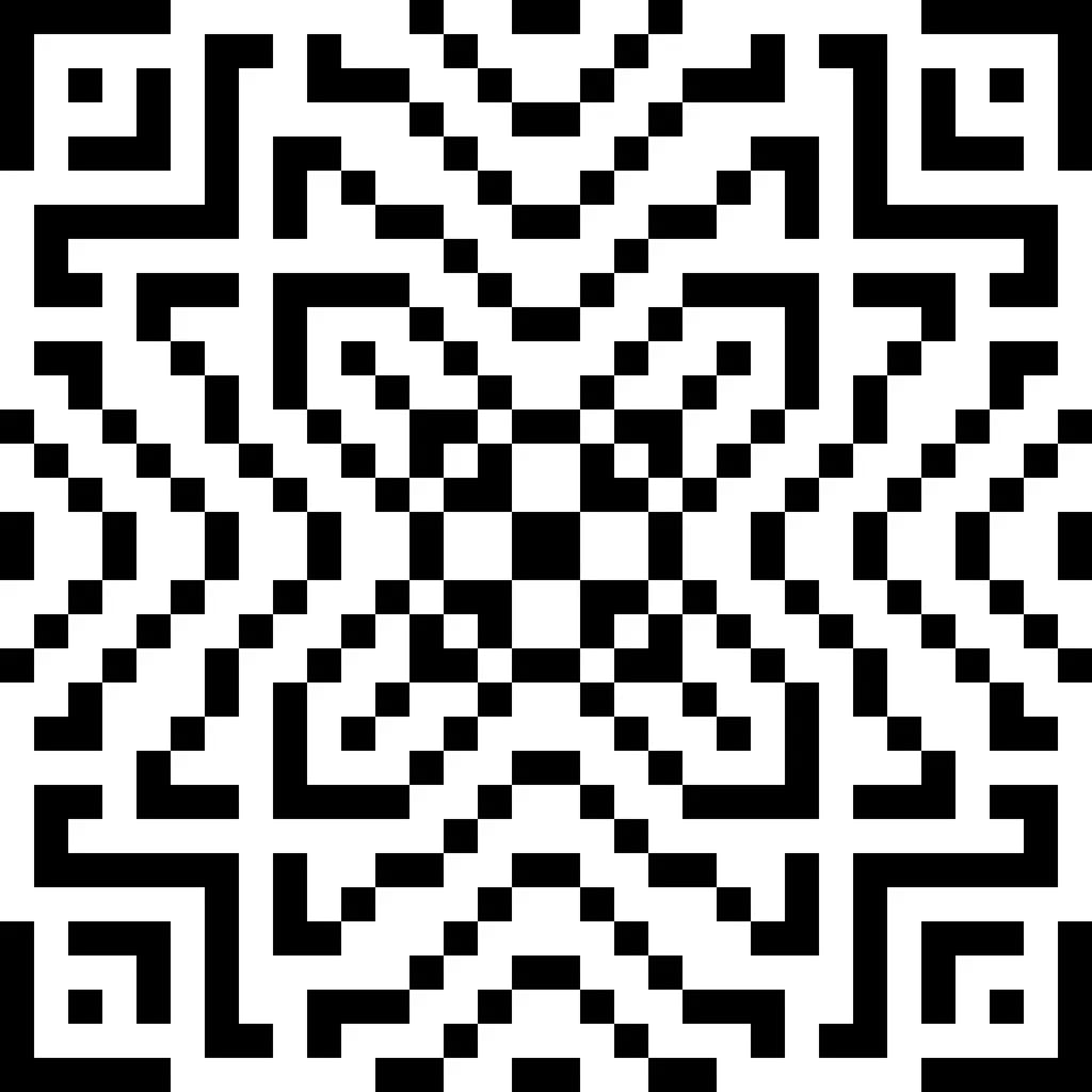 Intricate Black and White Geometric Harmony: A Modern Art Exploration