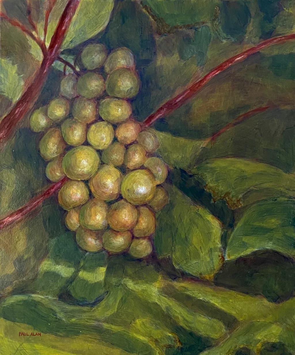 Whispers of Green: A Lush Grapevine Embrace