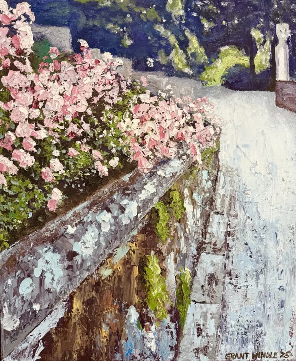 Whispers of Spring: A Serene Pathway Adorned with Blossoms