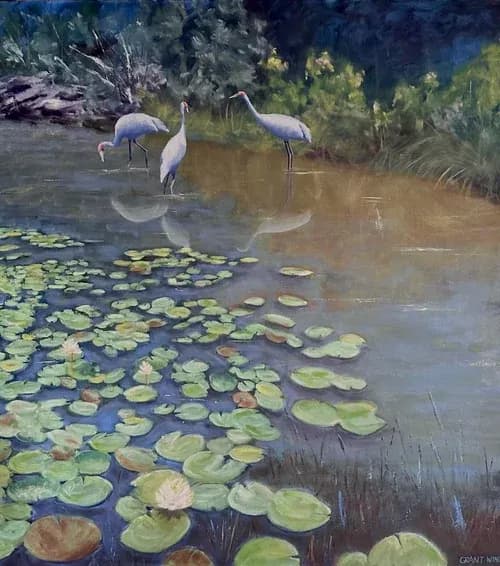 "Serenity in Reflection: Cranes Among Lilypads - Oil on Canvas - A Tranquil Encounter with Nature's Beauty"