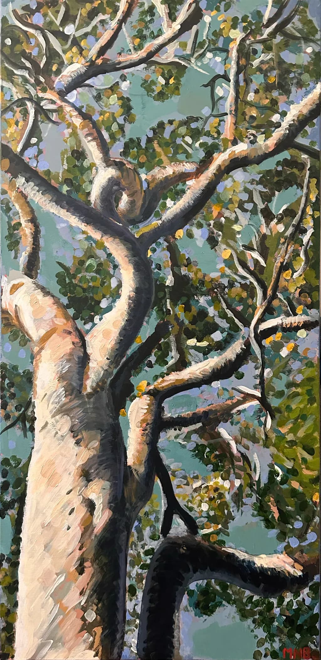 Sunlit Branches