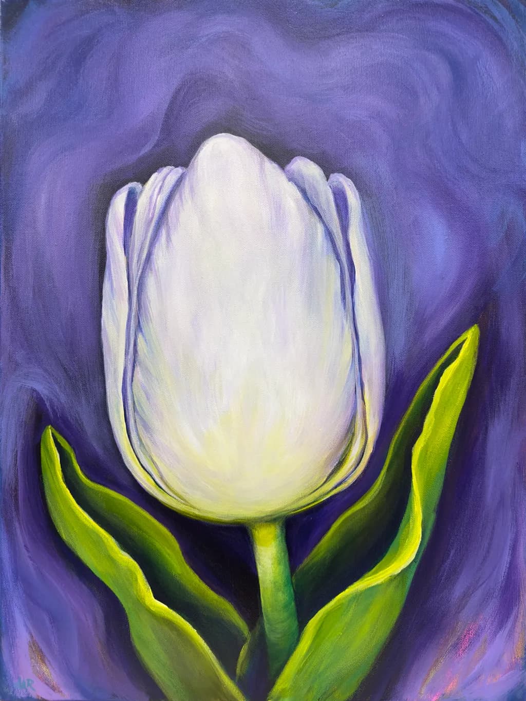 Luminous Tulip