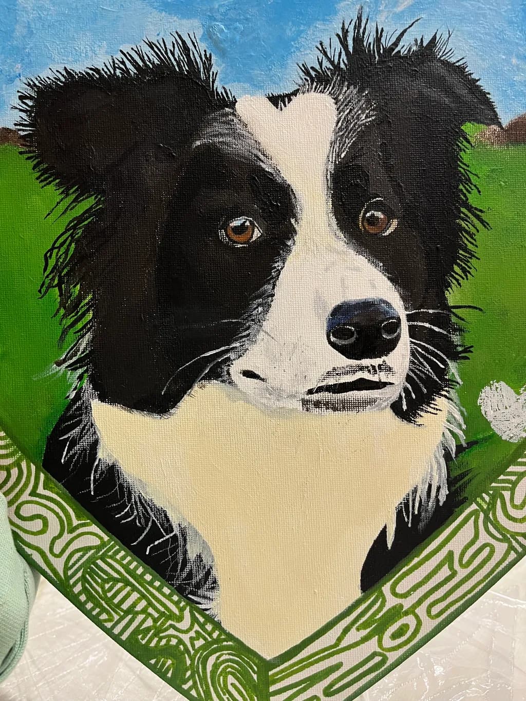 Watchful Border Collie