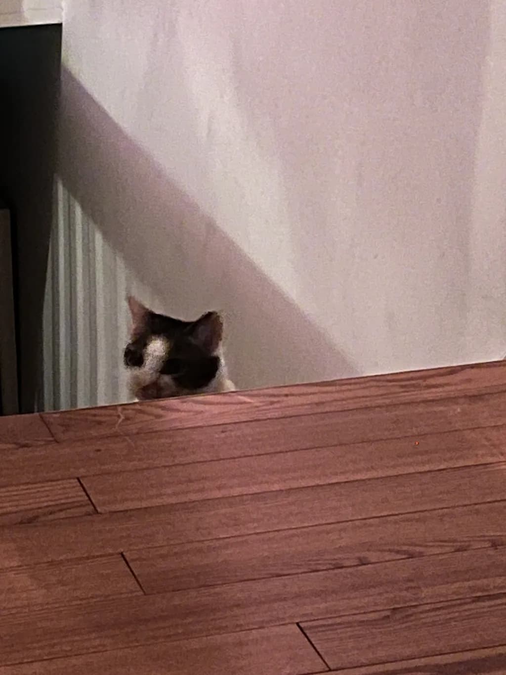 Quiet Observation