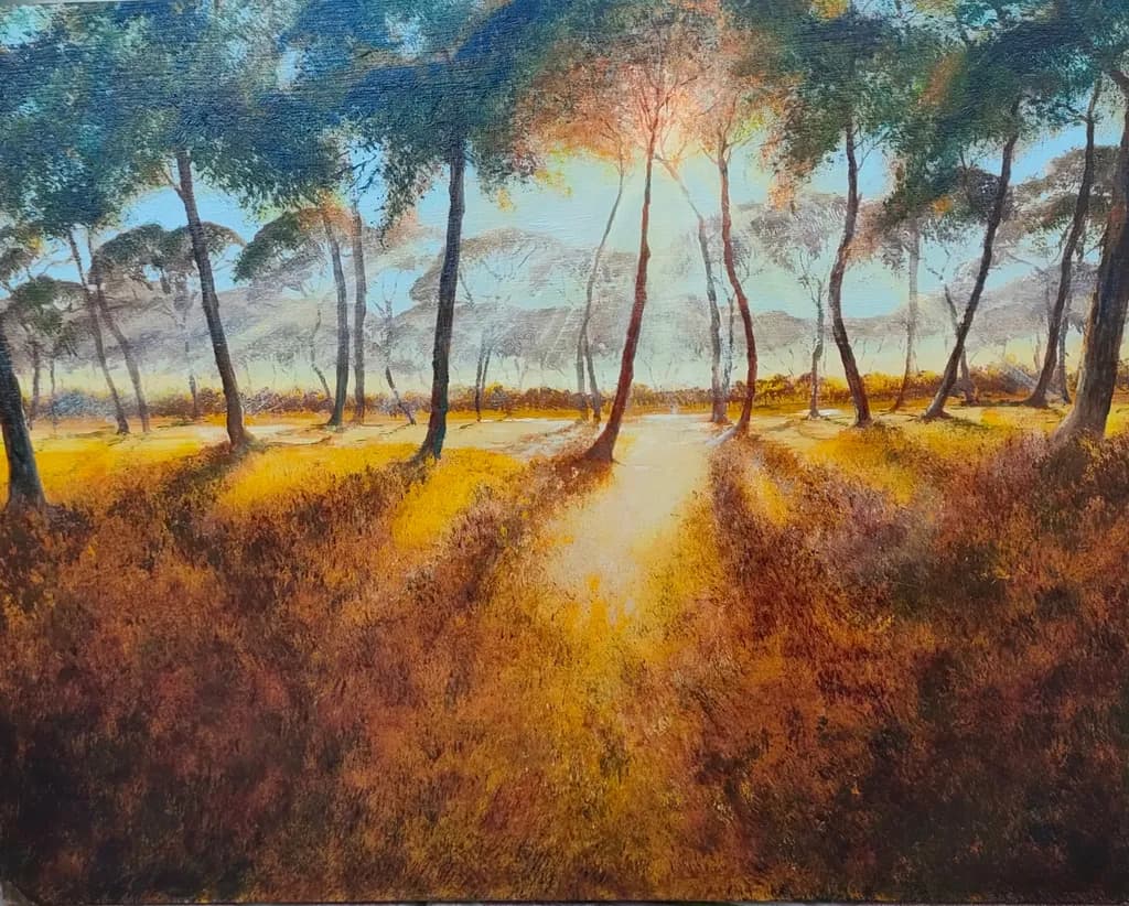 Whispers of Autumn: A Serene Pathway Through the Sunlit Forest